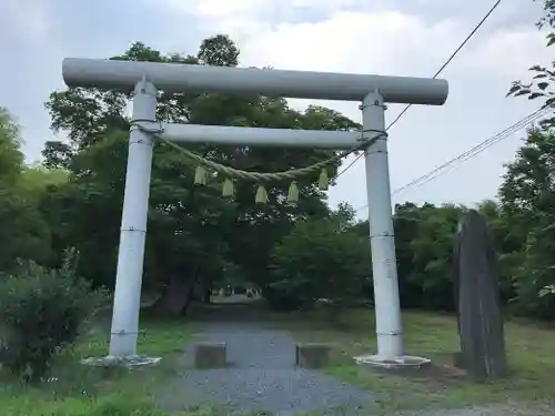 金村別雷神社の鳥居