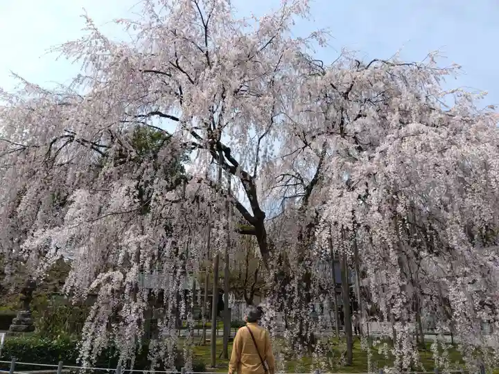 足羽神社(福井県)