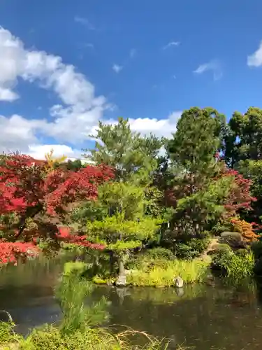 等持院の庭園