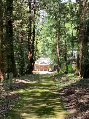 大井神社（太郎神社）(茨城県)