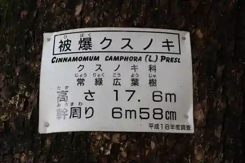 山王神社の自然