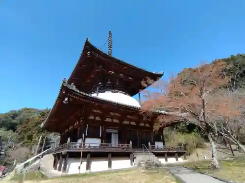 根来寺の{uncategorized: "未分類", other: "その他", undefined: "問題あり", building: "その他建物", grave: "お墓", sacred_gate: "鳥居", guardian: "狛犬", statue: "像", buddha: "仏像", history: "歴史", nature: "自然", garden: "庭園", animal: "動物", pagoda: "塔", temizu: "手水舎", mountain_gate: "山門・神門", sanctuary: "本殿・本堂", subordinate: "末社・摂社", art: "芸術", scenery: "景色", jizo: "地蔵", ema: "絵馬", goshuin: "御朱印", omikuji: "おみくじ", items: "授与品その他", amulet: "お守り", goshuincho: "御朱印帳", eats: "食事", festival: "お祭り", votive_dance: "神楽", shichigosan: "七五三参", wedding: "結婚式", experience: "体験その他", initially: "初詣", around: "周辺", anti_infection: "感染症対策"}