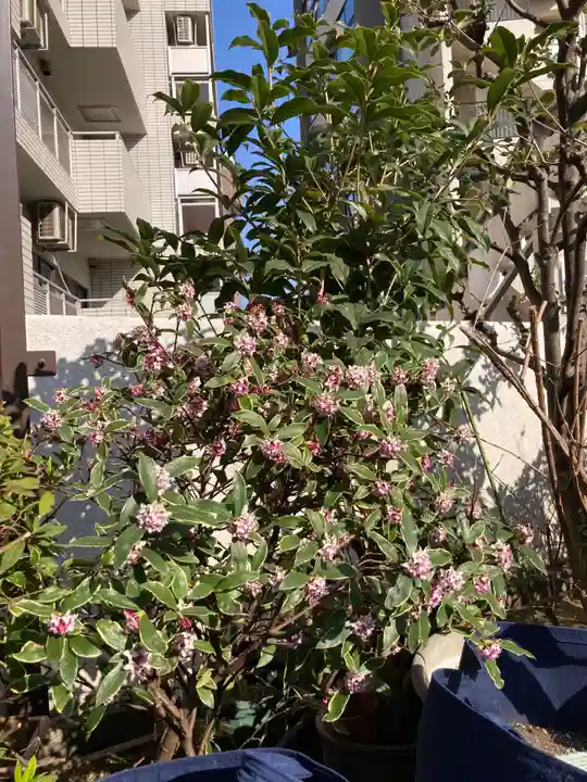 高輪神社(東京都)