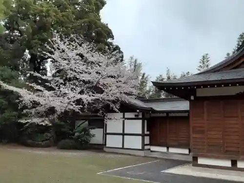 阿佐ヶ谷神明宮(東京都)