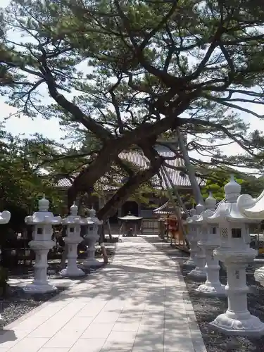 誕生寺のその他建物