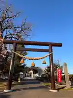 士幌神社の七五三参