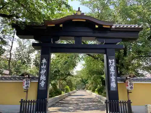 妙純寺の山門・神門