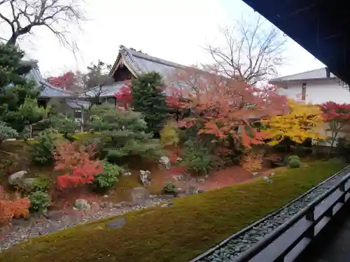 相国寺（相国承天禅寺）の庭園