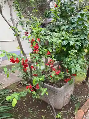 慶養寺(東京都)