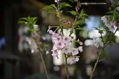 滝野川八幡神社(東京都)