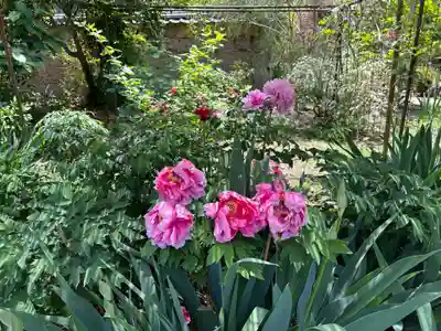 金剛寺(奈良県)