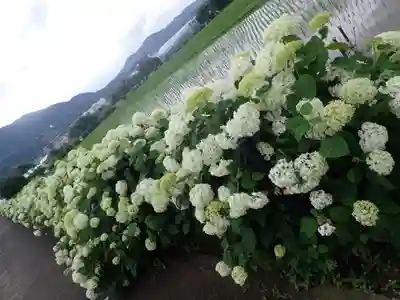 最乗寺（道了尊）(神奈川県)