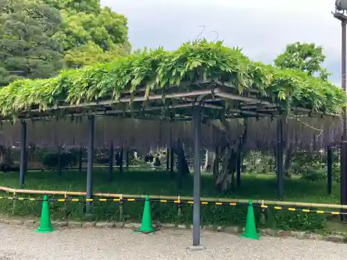 平等院の{uncategorized: "未分類", other: "その他", undefined: "問題あり", building: "その他建物", grave: "お墓", sacred_gate: "鳥居", guardian: "狛犬", statue: "像", buddha: "仏像", history: "歴史", nature: "自然", garden: "庭園", animal: "動物", pagoda: "塔", temizu: "手水舎", mountain_gate: "山門・神門", sanctuary: "本殿・本堂", subordinate: "末社・摂社", art: "芸術", scenery: "景色", jizo: "地蔵", ema: "絵馬", goshuin: "御朱印", omikuji: "おみくじ", items: "授与品その他", amulet: "お守り", goshuincho: "御朱印帳", eats: "食事", festival: "お祭り", votive_dance: "神楽", shichigosan: "七五三参", wedding: "結婚式", experience: "体験その他", initially: "初詣", around: "周辺", anti_infection: "感染症対策"}