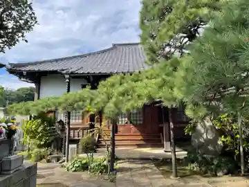 妙情寺の本殿・本堂