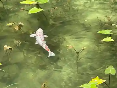根道神社(岐阜県)