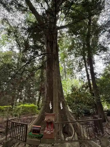 宮原八幡宮(栃木県)