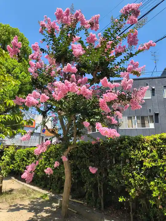 四貫島住吉神社(大阪府)