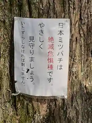 鎌庭香取神社(茨城県)