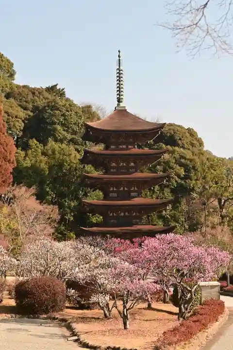 瑠璃光寺(山口県)