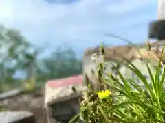 山家神社奥宮の自然