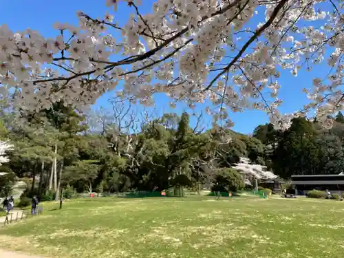 クスの森若宮神社(山口県)