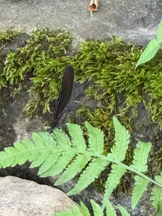 上杉神社(山形県)