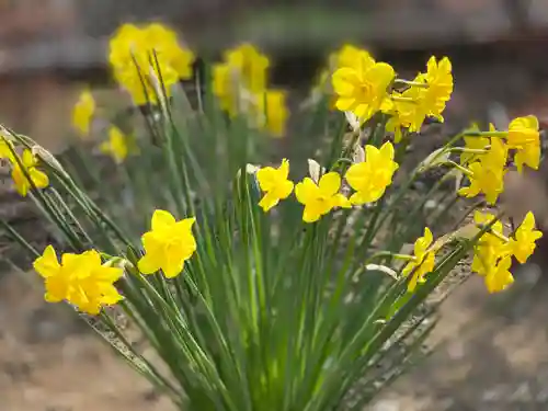 境香取神社の自然