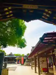 大杉神社(茨城県)