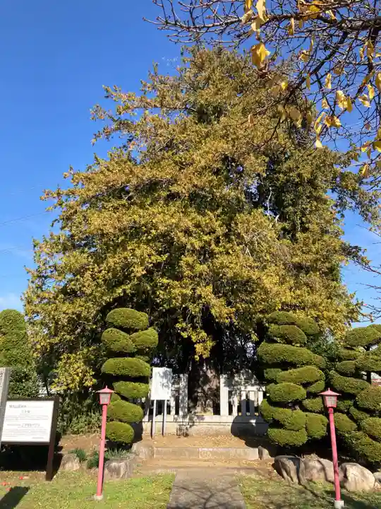 定林寺(山梨県)