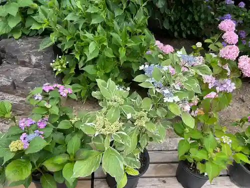 能護寺(埼玉県)