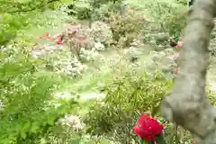 浄徳寺の庭園