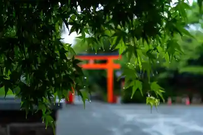 枚聞神社(鹿児島県)