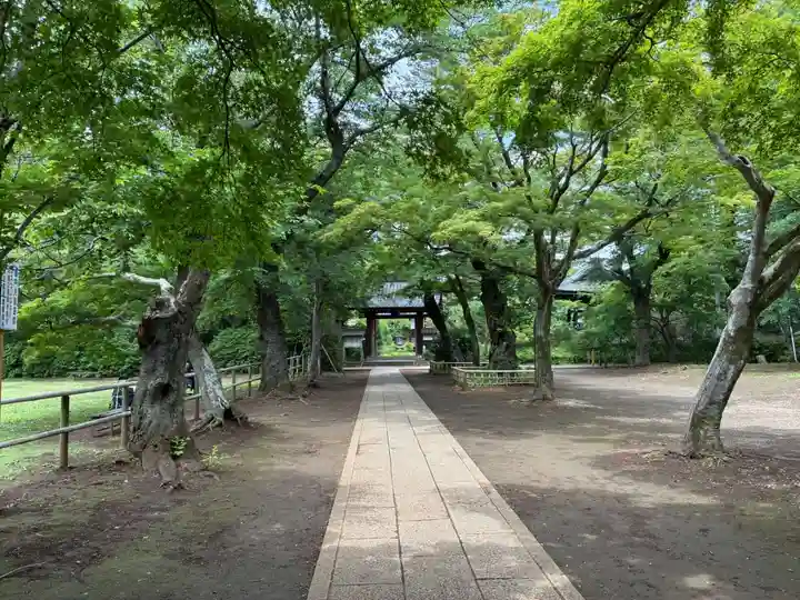 金乘院(千葉県)