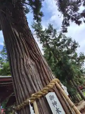 鼬幣稲荷神社(岩手県)