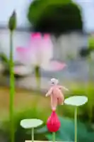 浄土寺(兵庫県)