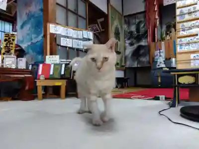 宗龍寺(愛知県)