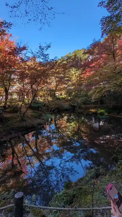 圓光寺(京都府)
