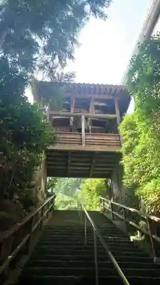 達磨寺(群馬県)