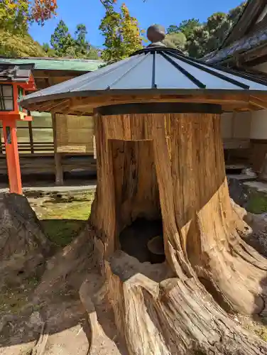 大原野神社(京都府)