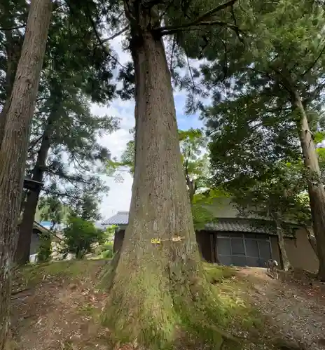 日吉神社(京都府)