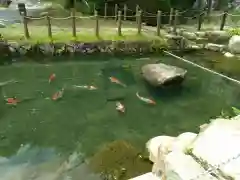 大湫神明神社の庭園