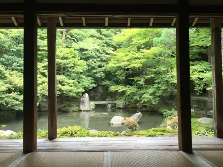 蓮華寺(洛北蓮華寺)の庭園