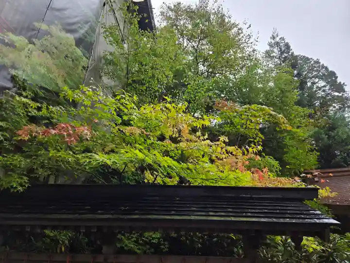 榛名神社(群馬県)