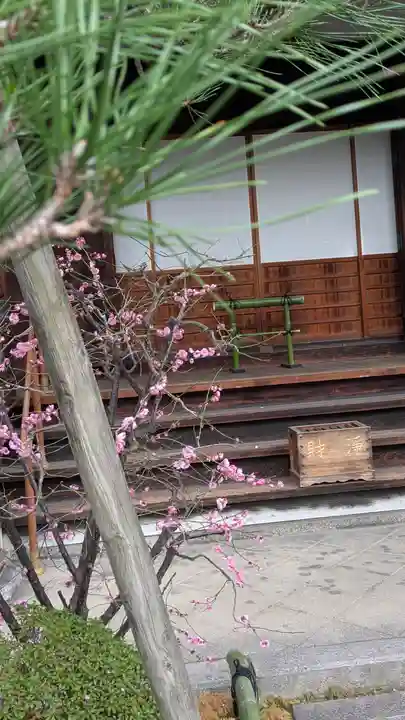 宝蔵寺(京都府)