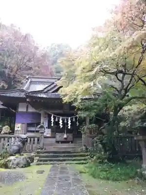 五所駒瀧神社の本殿・本堂