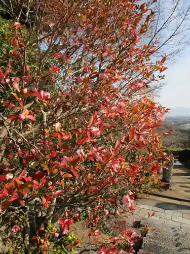 矢田寺(奈良県)