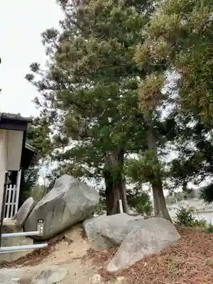 八幡神社(福島県)
