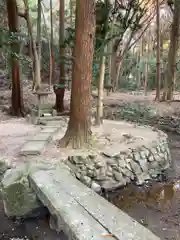 高龗神社の自然