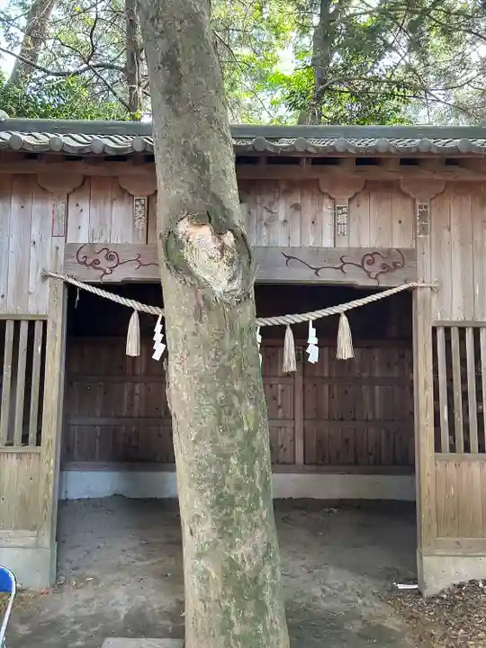 前玉神社(埼玉県)