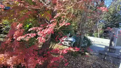 稗田野神社(薭田野神社)(京都府)